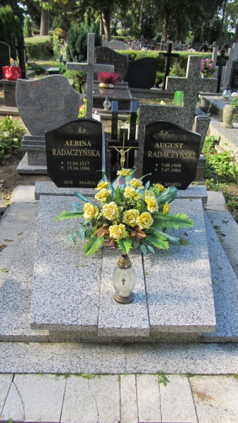 August Radaczyński 1906 Myślibórz - Grobonet - Wyszukiwarka osób pochowanych