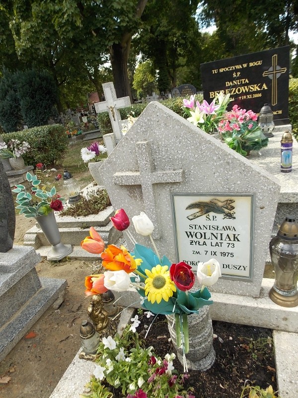 Franciszek Wolniak 1900 Myślibórz - Grobonet - Wyszukiwarka osób pochowanych