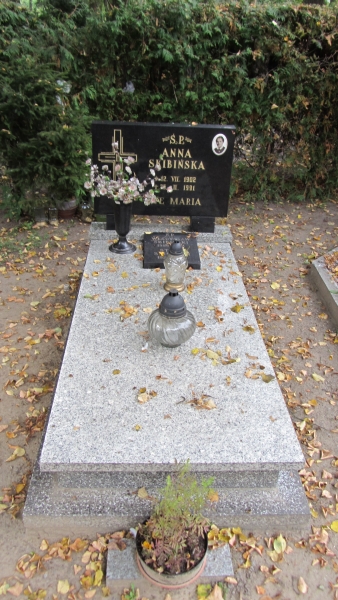 Władysław Skibiński 1886 Myślibórz - Grobonet - Wyszukiwarka osób pochowanych