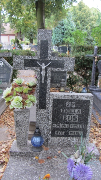 Grób Aniela Łoś