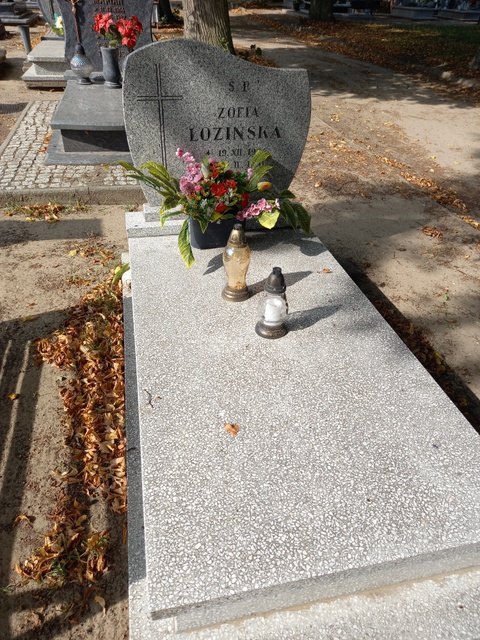 Grób Tadeusz Łoziński