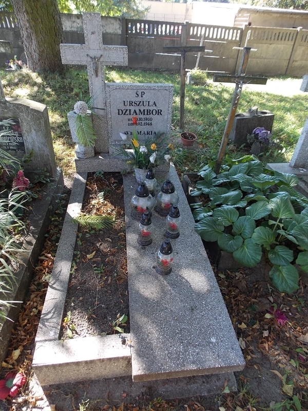 Urszula Dziambor 1900 Myślibórz - Grobonet - Wyszukiwarka osób pochowanych