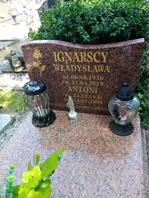 Antoni Ignarski 1931 Myślibórz - Grobonet - Wyszukiwarka osób pochowanych