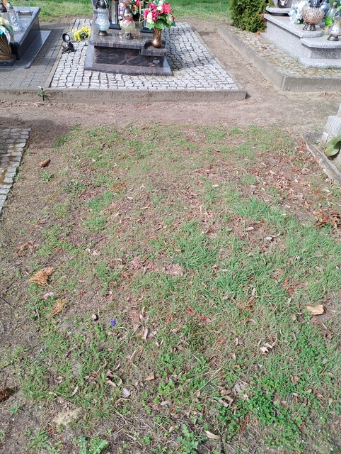 Grób Władysław Dura