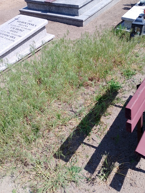 Grób Józef Cichosz