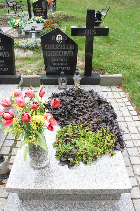 Aleksander Michalak  1938 Myślibórz - Grobonet - Wyszukiwarka osób pochowanych