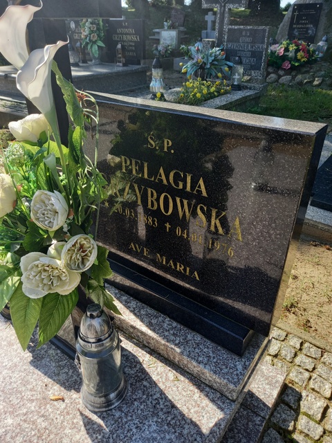 Pelagia Grzybowska 1883 Myślibórz - Grobonet - Wyszukiwarka osób pochowanych