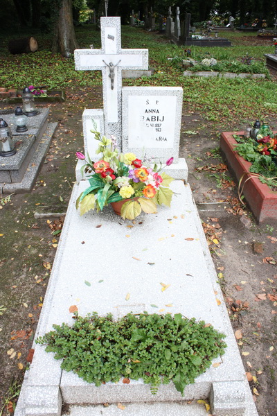 Anna Babij 1887 Myślibórz - Grobonet - Wyszukiwarka osób pochowanych